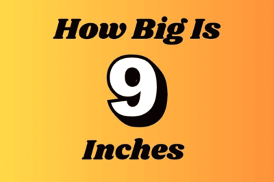 Understanding 9 Inches: A Comprehensive Guide