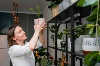 Simple Ways to Transform Your Space with Decorating Plants