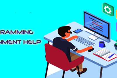 Programming Assignment Help Your Ultimate Guide to Success