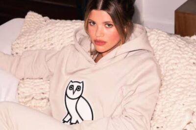 What Features Should You Look for in a OVO Hoodie