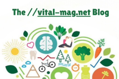 The //vital-mag.net Blog: A Comprehensive Overview