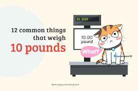 What Weighs 10 Pounds? Discovering Everyday Items