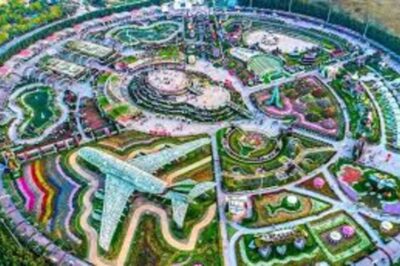 Top Reasons to Visit Dubai Miracle Garden: A Floral Wonderland