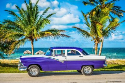 The Life Cycle of a Car: What Happens When You Trade in Your Vehicle for Cash?