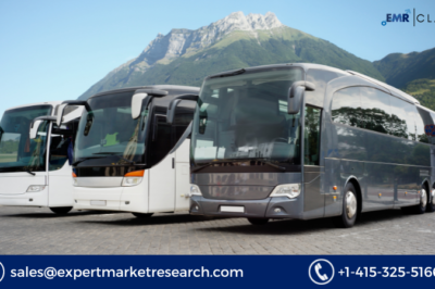 Bus Market Trends 2024: Key Insights, Innovations, and Growth Opportunities