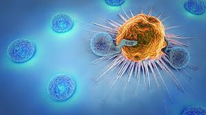 Cancer Immunotherapy Market Analysis Size And Forecast Report 2024-2032
