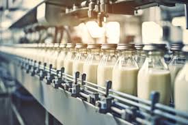 China Dairy Market Size And Forecast Report By Renub Research