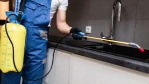 Cockroach-Control-Service-in-Perth