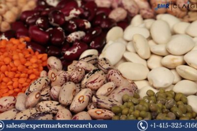 Dried Beans Market Size, Share, Trends & Forecast Insights | 2034