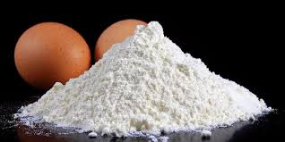Egg Powder Market Analysis Size And Forecast Report 2024-2030