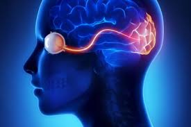 Epilepsy Drugs Market Analysis Size And Forecast Report 2024-2030