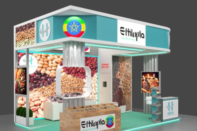 Exhibition Stands in Dubai: Creating Impactful and Memorable