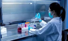 Europe In-Vitro Diagnostics Market Analysis Size And Forecast Report 2024-2032