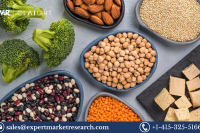 Europe Meat Substitute Market Trends, Size, Growth and Industry Outlook | 2033