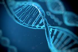 Genetic Testing Market Analysis Size And Forecast Report 2024-2030
