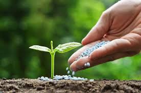 Global Fertilizer Market Analysis Size And Forecast Report 2024-2030 Global Fertilizer Market Analysis Size And Forecast Report 2024-2030
