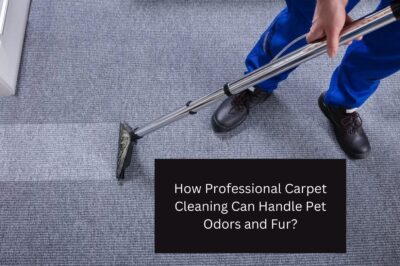 How Professional Carpet Cleaning Can Handle Pet Odors and Fur?