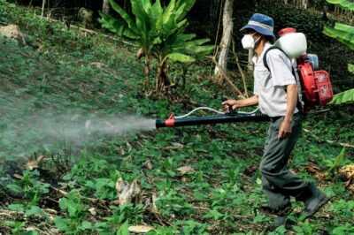 Perspectivas de Crecimiento del Mercado de Agroquímicos en América Latina: Proyecciones hasta 2032