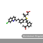 Montelukast (Singulair) Production Cost Report: Lifecycle Cost Analysis, Global and Regional Outlook