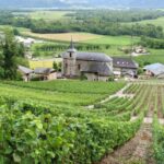 5 Lesser-Known French Wine Regions worth Discovering