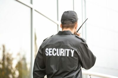 Proactive Strategies Used by Crowd Control Security Guards