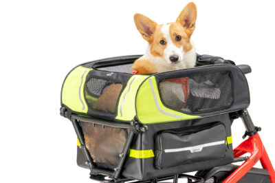The Ultimate Guide to Choosing the Best Dog Carrier in the UK – Coming Soon to Our New Website!