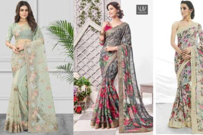 Buy Pakistani Saree Online | Elegance Meets Tradition