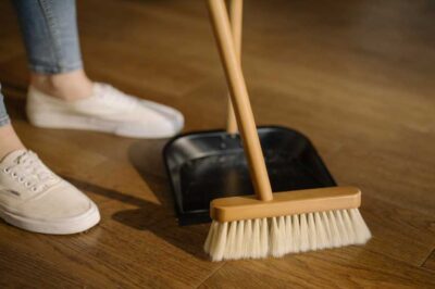 Boost Your Home’s Wellness with Regular Carpet Cleaning