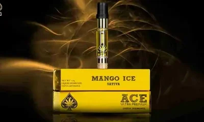 Ace of Spades Disposable: Your Ultimate Vaping Solution