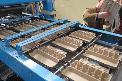 Why Businesses Are Turning to Pulp Molding for Sustainable Manufacturing Why Businesses Are Turning to Pulp Molding for Sustainable Manufacturing
