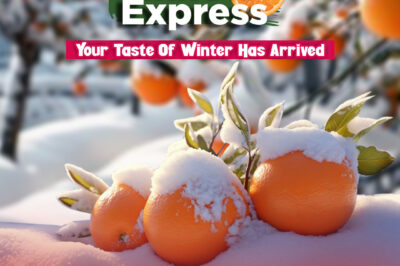 Discover the Joy of Kinnow Gifting: A Citrus Delight Perfect for Every Occasion