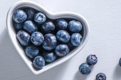 Blueberry Processing Plant Project Report: Packaging, Cost and Transportation Requirements
