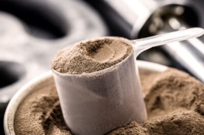 Casein Market Share, Size, Growth & Analysis | 2025-2034