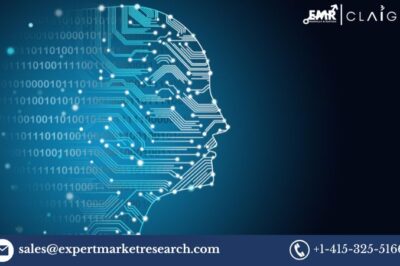 Content Intelligence Market: Trends, Growth, and Forecast 2025-2034