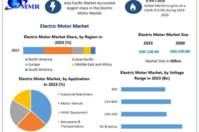 “E-Motor Evolution: Comprehensive Market Analysis and Projections (2024-2030)”