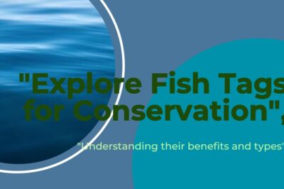 Comprehensive Guide to Fish Tags: Benefits, Types, and How They Impact Marine Conservation