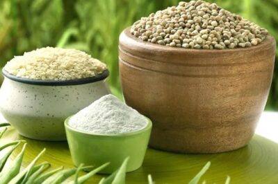 Guar Gum Processing Plant Project Report: Raw Material Requirements, Cost and Economics