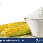 Native Starch Market: Growth, Trends, and Insights for 2025-2034