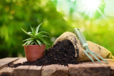 Establish an Organic Fertilizer Manufacturing Plant Report