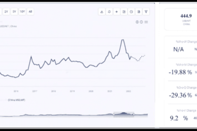 Boron Trioxide Production Cost: Key Components and Influences