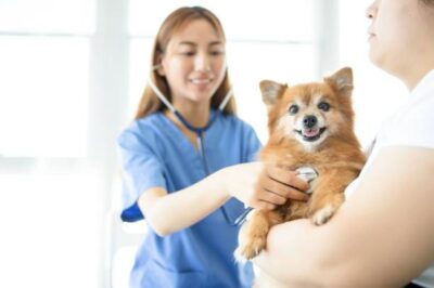 Pamper Your Pets: Top-Notch Care at Our Pet Health Clinic
