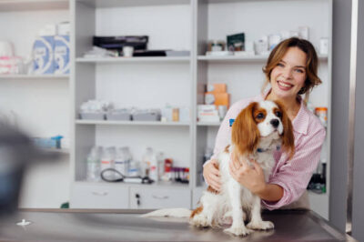 Top-Quality Pet Care Center Dedicated to Your Pet’s Health