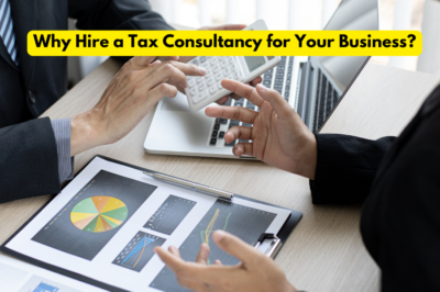 Why Hire a Tax Consultancy for Your Business?