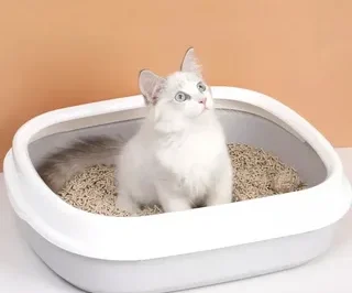 How TOFU Cat Litter Supports a Greener Home for Your Cat