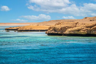 Top 4 Nature Reserves in Egypt for Wildlife Lovers