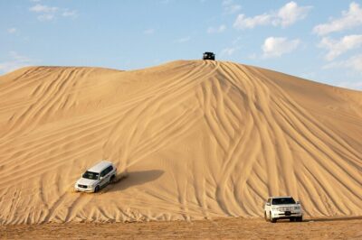 8 Best Activities to Experience in Abu Dhabi 8 Best Activities to Experience in Abu Dhabi