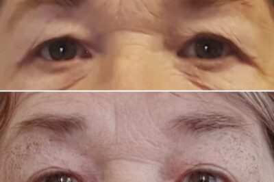 The Best Plasma Services in Albuquerque: Where to Go and What to Expect