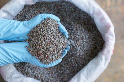 Australia Fertilizer Market: Trends, Growth, and Future Outlook Australia Fertilizer Market: Trends, Growth, and Future Outlook