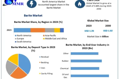 Barite Market Size, Share, and Industry Forecast (2024-2030)