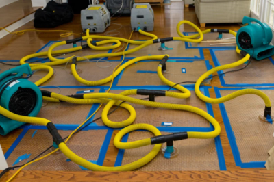 How to Prevent Mold Growth After Water Damage